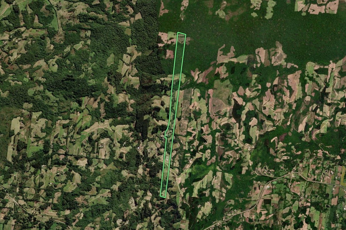 Imagem de satélite do imóvel rural em São Lourenço do Sul (RS), com o contorno declarado no CAR desenhado por cima.