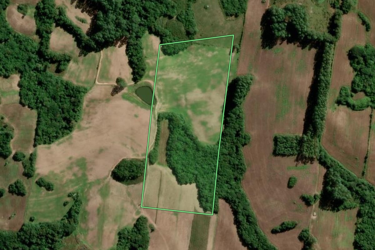 Imagem de satélite do imóvel rural em São Lourenço do Sul (RS), com o contorno declarado no CAR desenhado por cima.