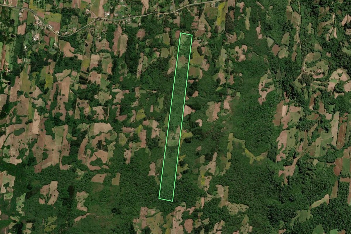 Imagem de satélite do imóvel rural em São Lourenço do Sul (RS), com o contorno declarado no CAR desenhado por cima.