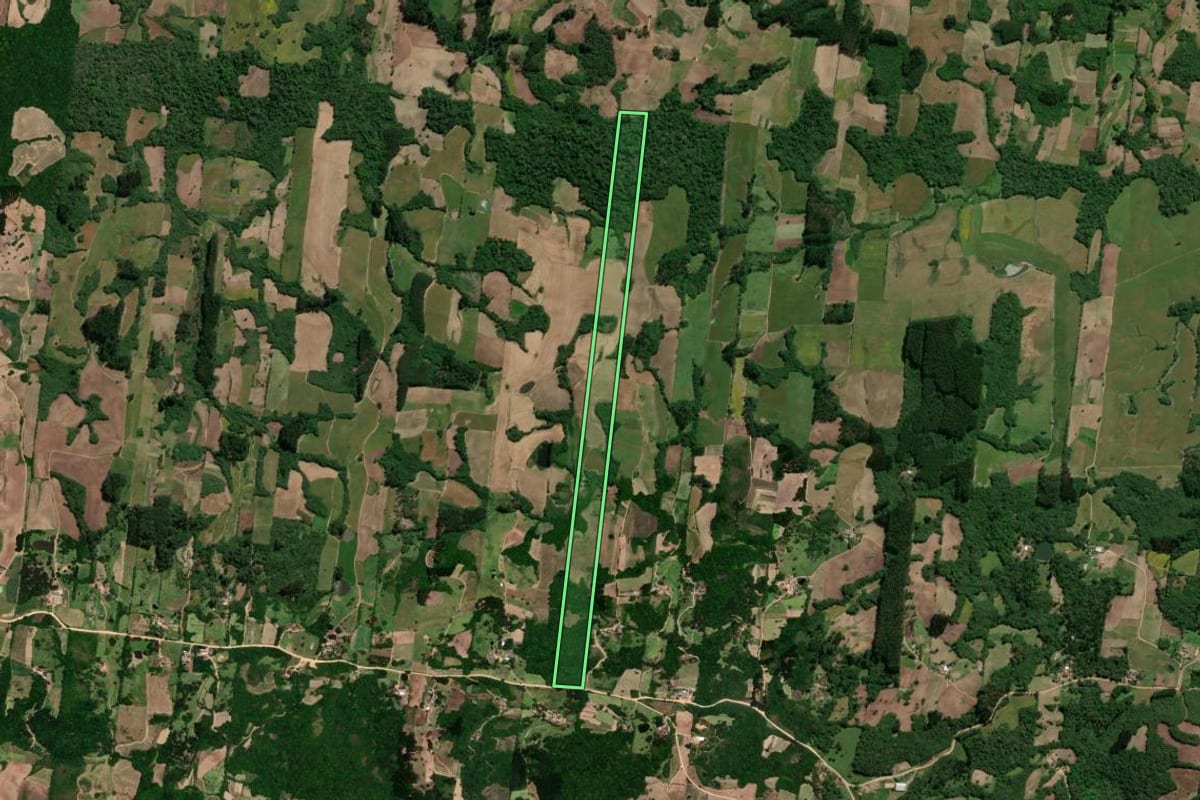 Imagem de satélite do imóvel rural em São Lourenço do Sul (RS), com o contorno declarado no CAR desenhado por cima.