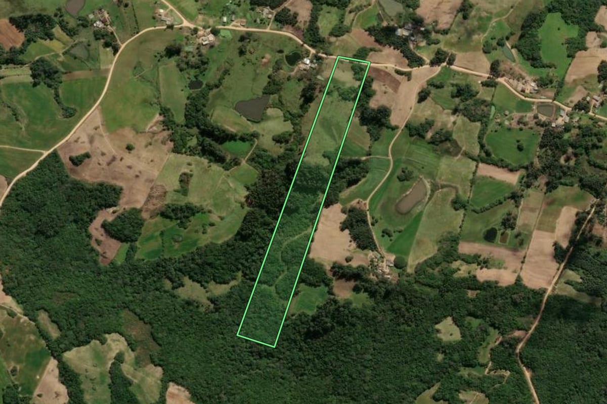 Imagem de satélite do imóvel rural em São Lourenço do Sul (RS), com o contorno declarado no CAR desenhado por cima.