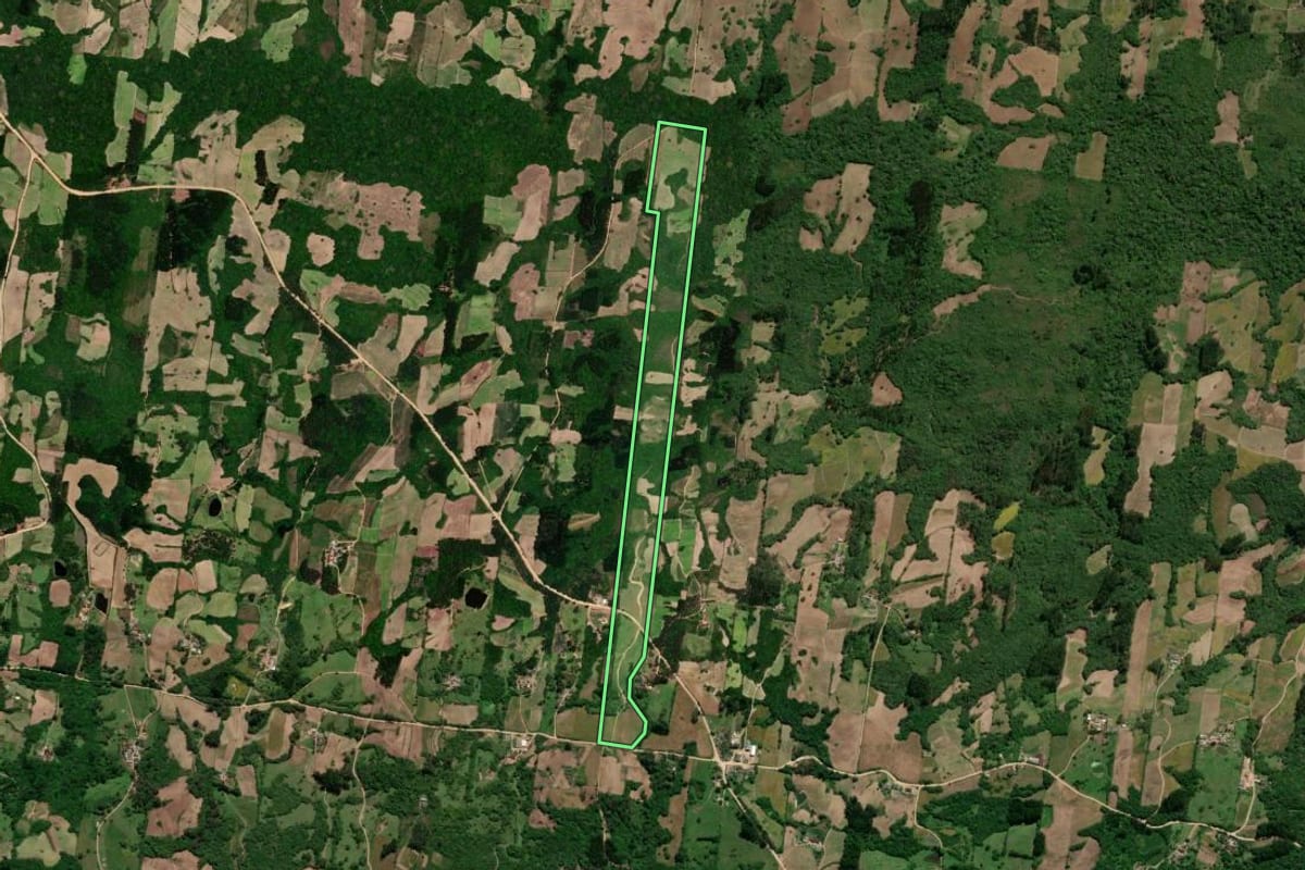 Imagem de satélite do imóvel rural em São Lourenço do Sul (RS), com o contorno declarado no CAR desenhado por cima.