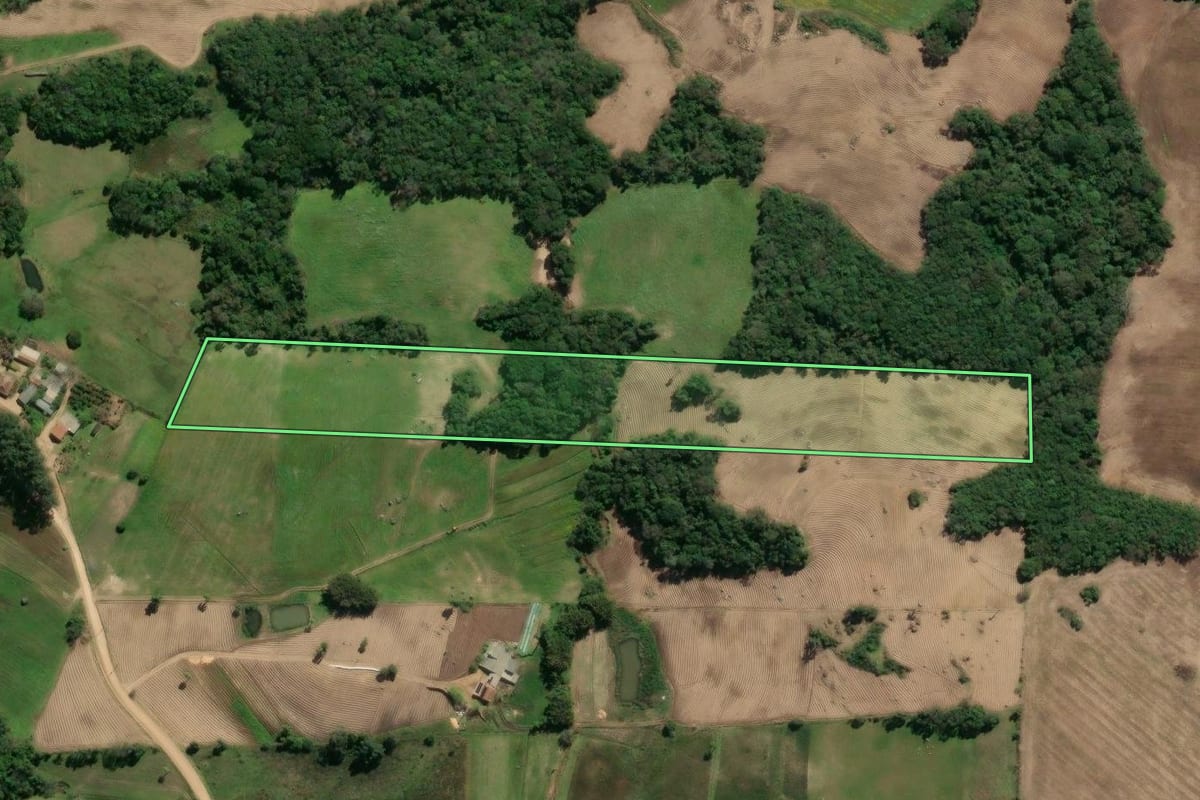 Imagem de satélite do imóvel rural em São Lourenço do Sul (RS), com o contorno declarado no CAR desenhado por cima.