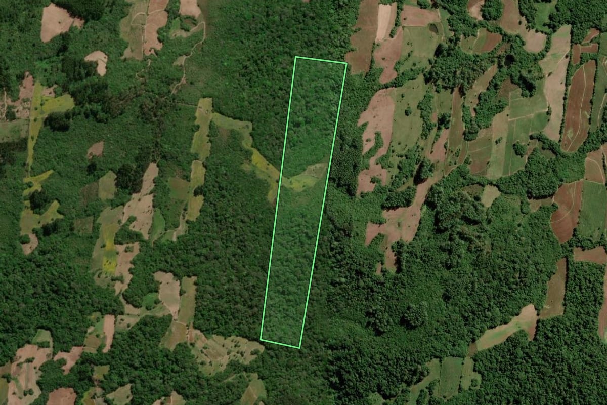 Imagem de satélite do imóvel rural em São Lourenço do Sul (RS), com o contorno declarado no CAR desenhado por cima.