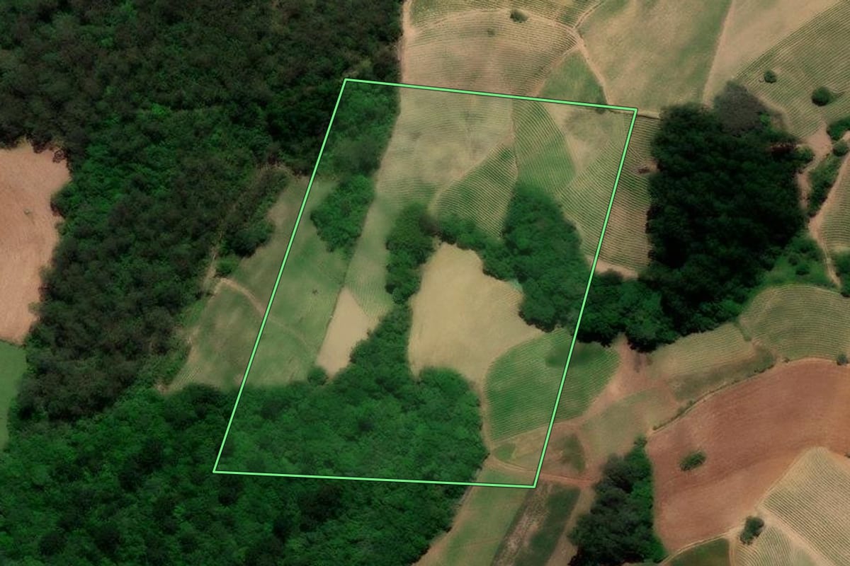 Imagem de satélite do imóvel rural em São Lourenço do Sul (RS), com o contorno declarado no CAR desenhado por cima.