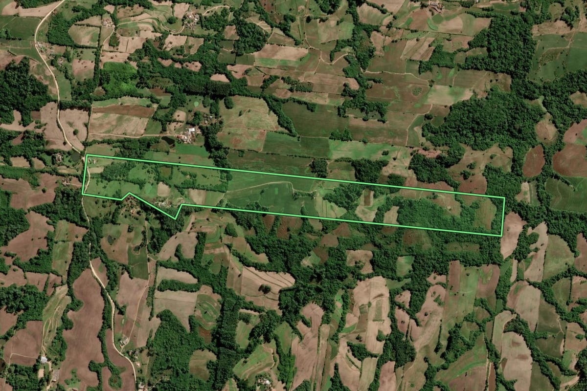 Imagem de satélite do imóvel rural em São Lourenço do Sul (RS), com o contorno declarado no CAR desenhado por cima.