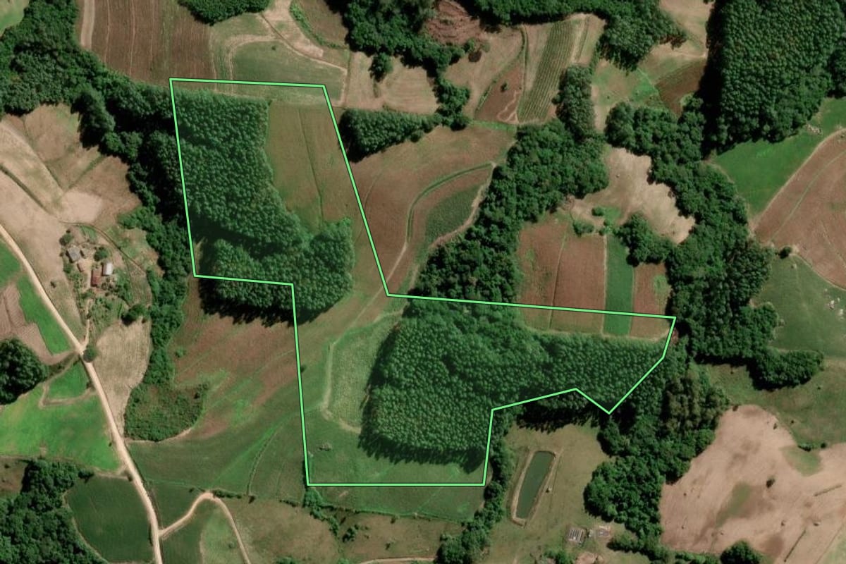 Imagem de satélite do imóvel rural em São Lourenço do Sul (RS), com o contorno declarado no CAR desenhado por cima.