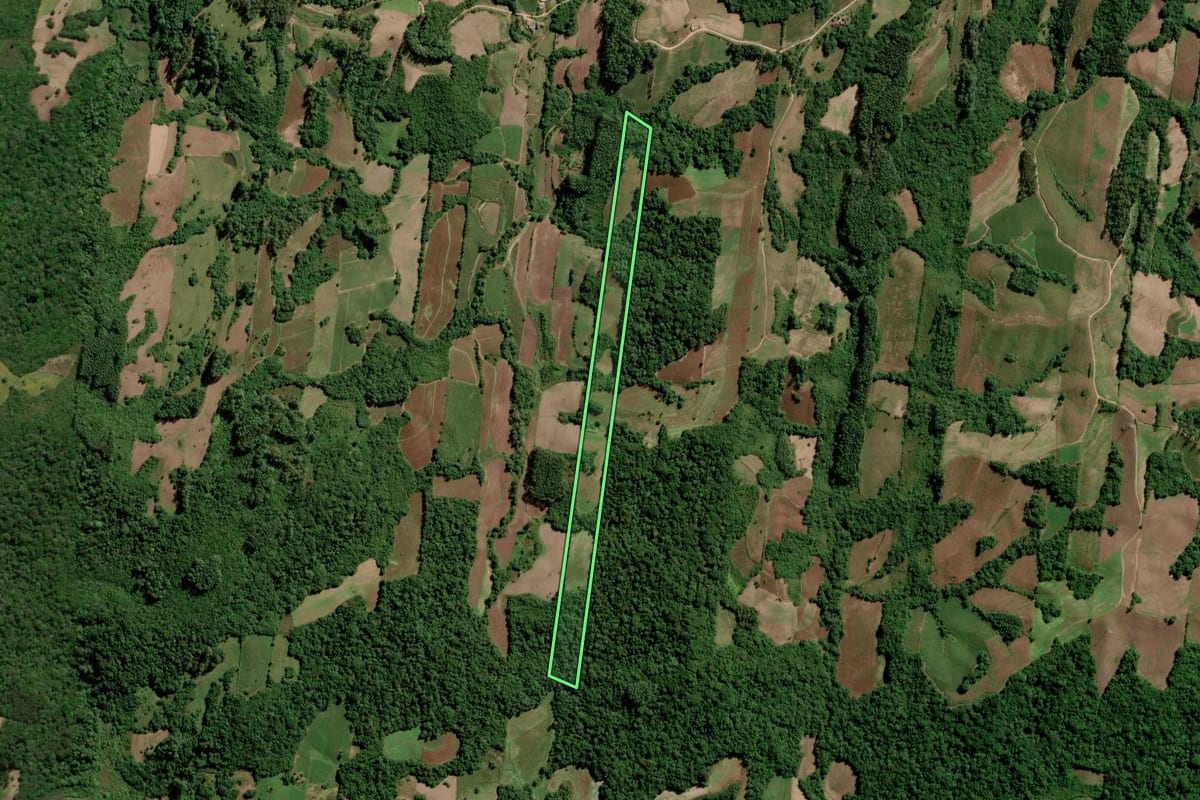 Imagem de satélite do imóvel rural em São Lourenço do Sul (RS), com o contorno declarado no CAR desenhado por cima.