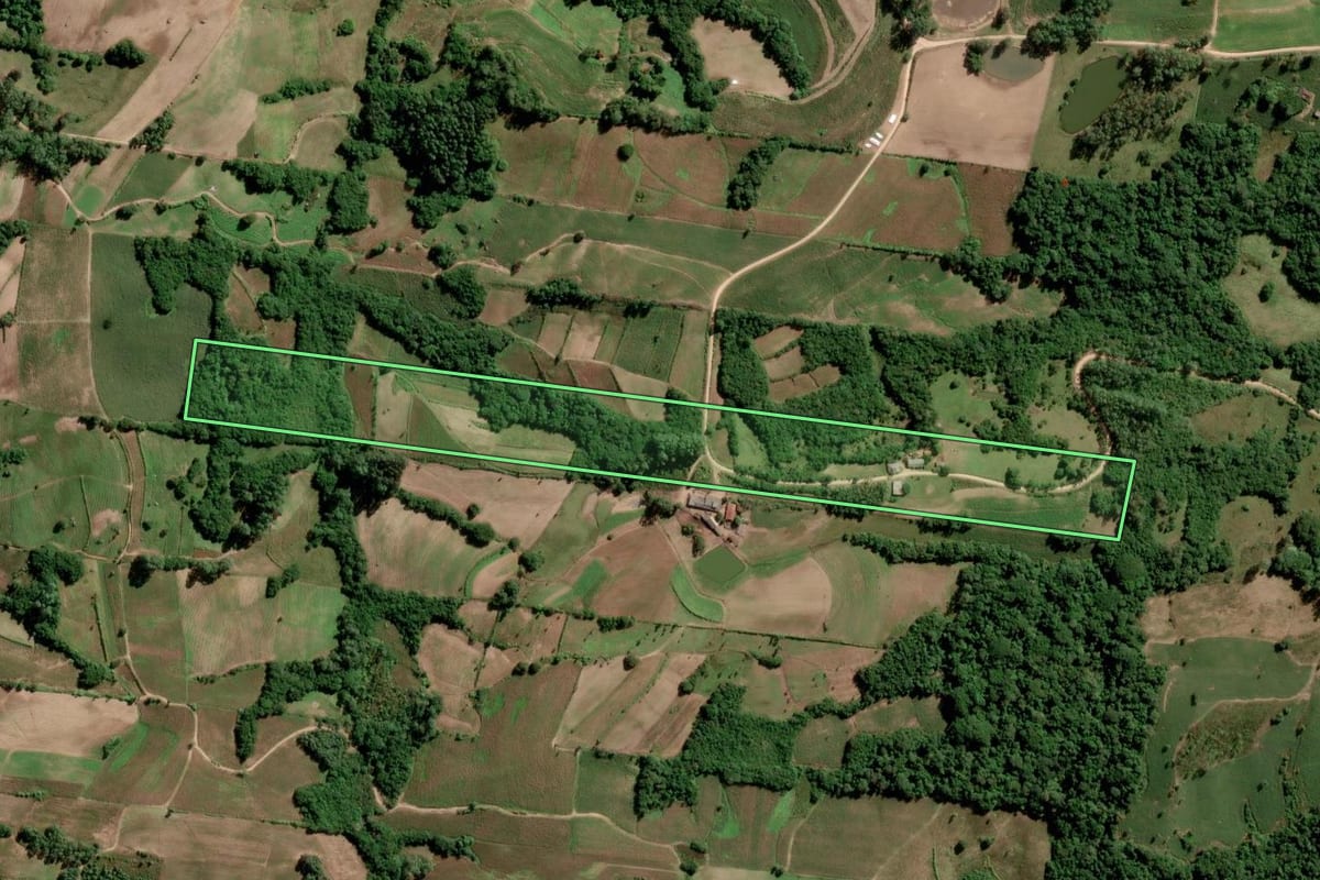 Imagem de satélite do imóvel rural em São Lourenço do Sul (RS), com o contorno declarado no CAR desenhado por cima.