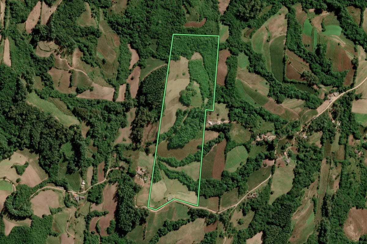Imagem de satélite do imóvel rural em São Lourenço do Sul (RS), com o contorno declarado no CAR desenhado por cima.