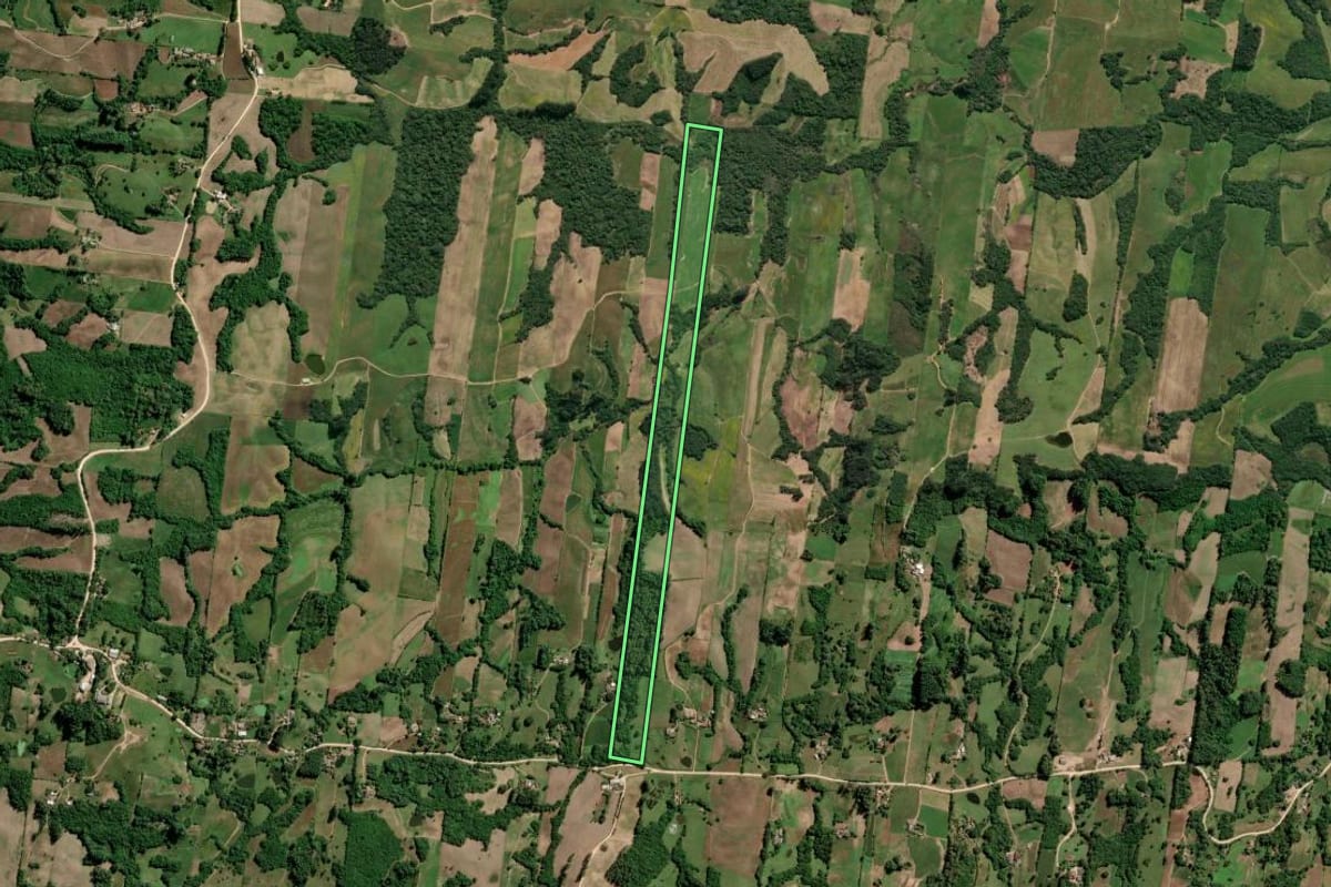 Imagem de satélite do imóvel rural em São Lourenço do Sul (RS), com o contorno declarado no CAR desenhado por cima.