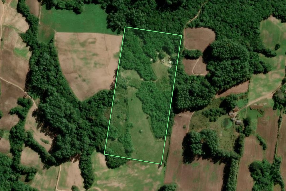 Imagem de satélite do imóvel rural em São Lourenço do Sul (RS), com o contorno declarado no CAR desenhado por cima.