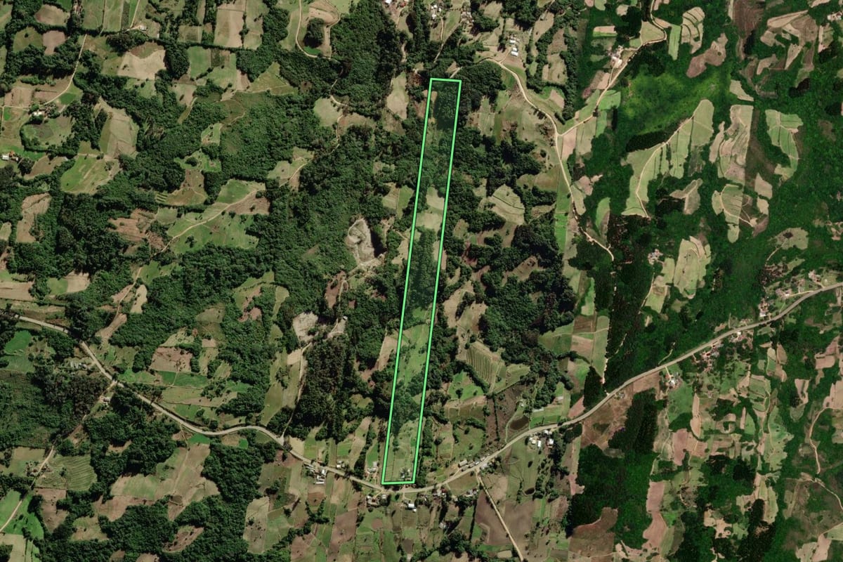 Imagem de satélite do imóvel rural em São Lourenço do Sul (RS), com o contorno declarado no CAR desenhado por cima.