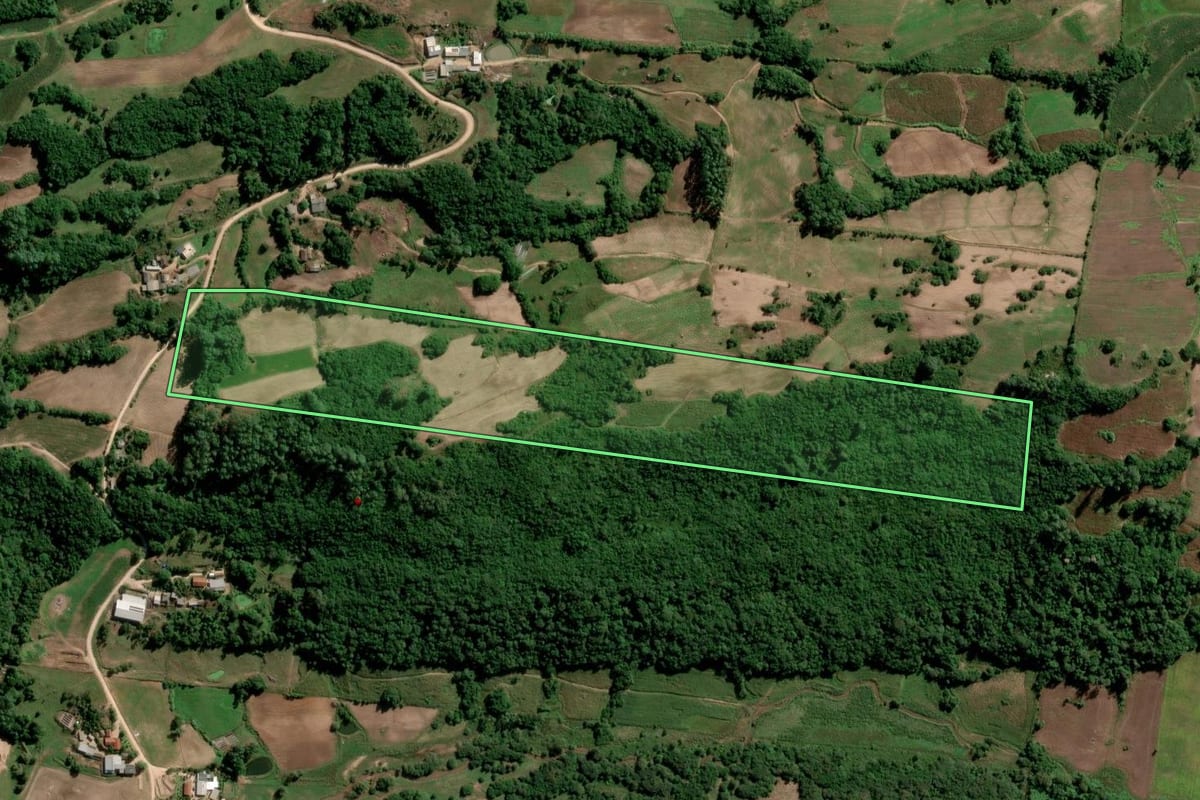 Imagem de satélite do imóvel rural em São Lourenço do Sul (RS), com o contorno declarado no CAR desenhado por cima.