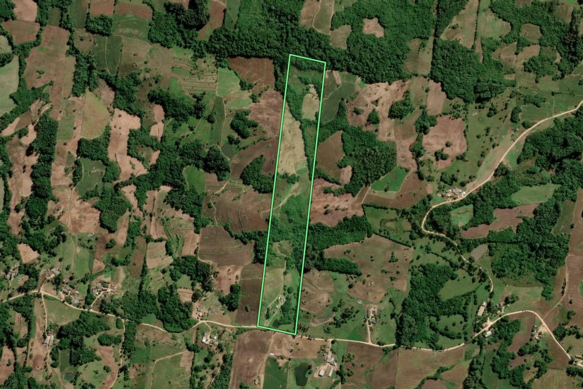 Imagem de satélite do imóvel rural em São Lourenço do Sul (RS), com o contorno declarado no CAR desenhado por cima.