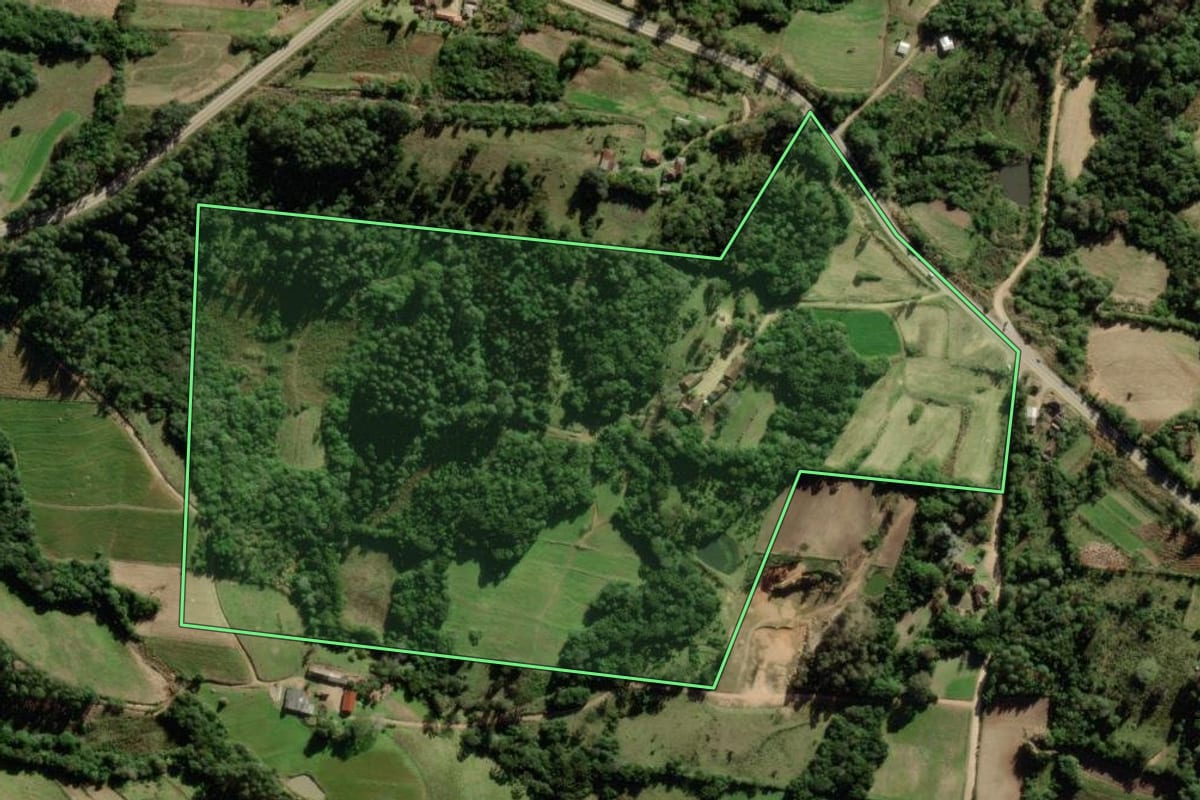 Imagem de satélite do imóvel rural em São Lourenço do Sul (RS), com o contorno declarado no CAR desenhado por cima.
