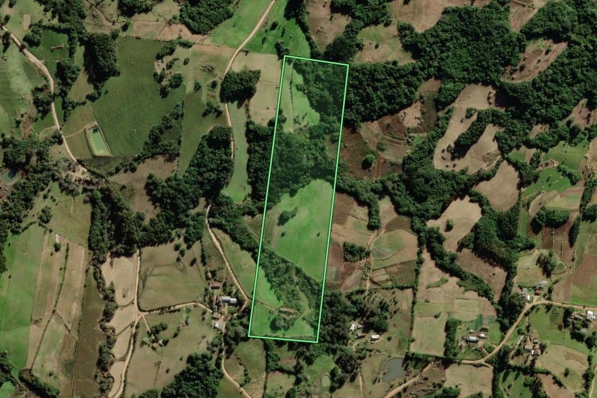 Imagem de satélite do imóvel rural em São Lourenço do Sul (RS), com o contorno declarado no CAR desenhado por cima.