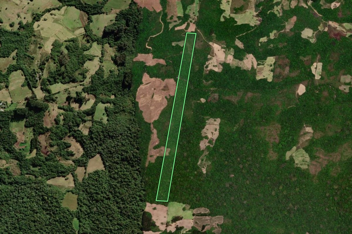 Imagem de satélite do imóvel rural em São Lourenço do Sul (RS), com o contorno declarado no CAR desenhado por cima.