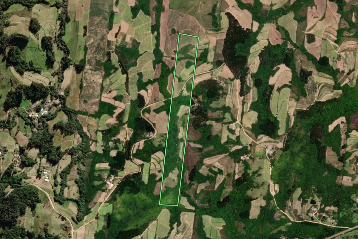 Imagem de satélite do imóvel rural em São Lourenço do Sul (RS), com o contorno declarado no CAR desenhado por cima.