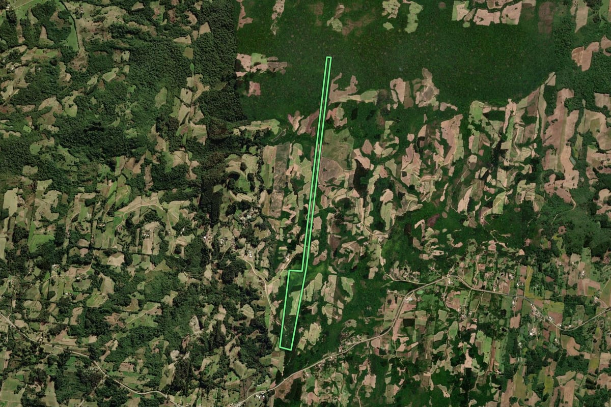 Imagem de satélite do imóvel rural em São Lourenço do Sul (RS), com o contorno declarado no CAR desenhado por cima.