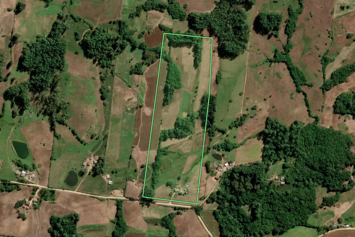 Imagem de satélite do imóvel rural em São Lourenço do Sul (RS), com o contorno declarado no CAR desenhado por cima.