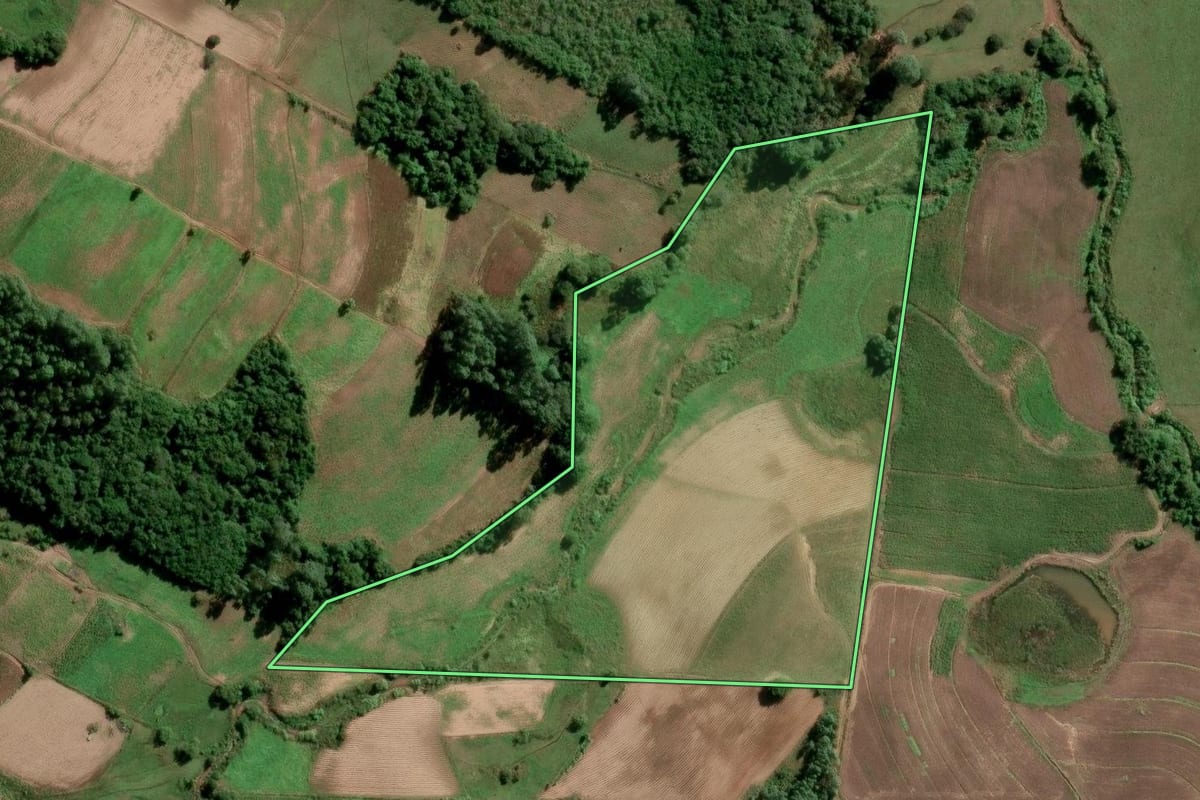 Imagem de satélite do imóvel rural em São Lourenço do Sul (RS), com o contorno declarado no CAR desenhado por cima.