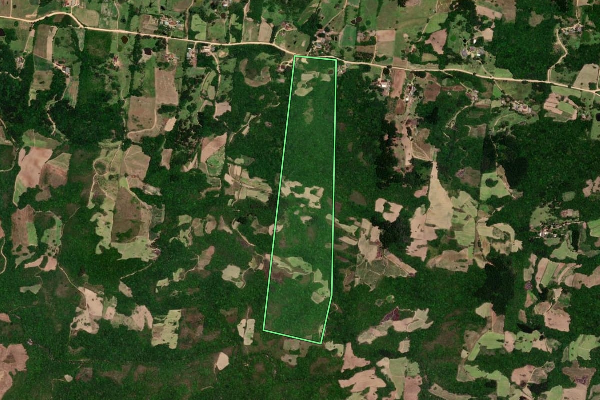 Imagem de satélite do imóvel rural em São Lourenço do Sul (RS), com o contorno declarado no CAR desenhado por cima.