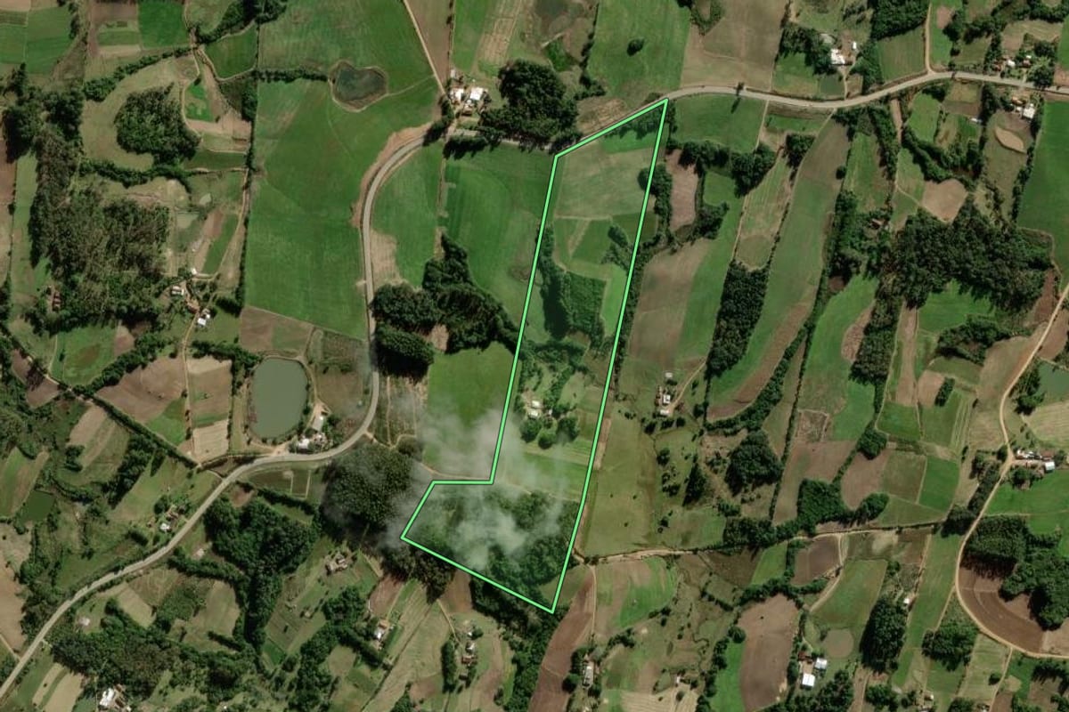 Imagem de satélite do imóvel rural em São Lourenço do Sul (RS), com o contorno declarado no CAR desenhado por cima.