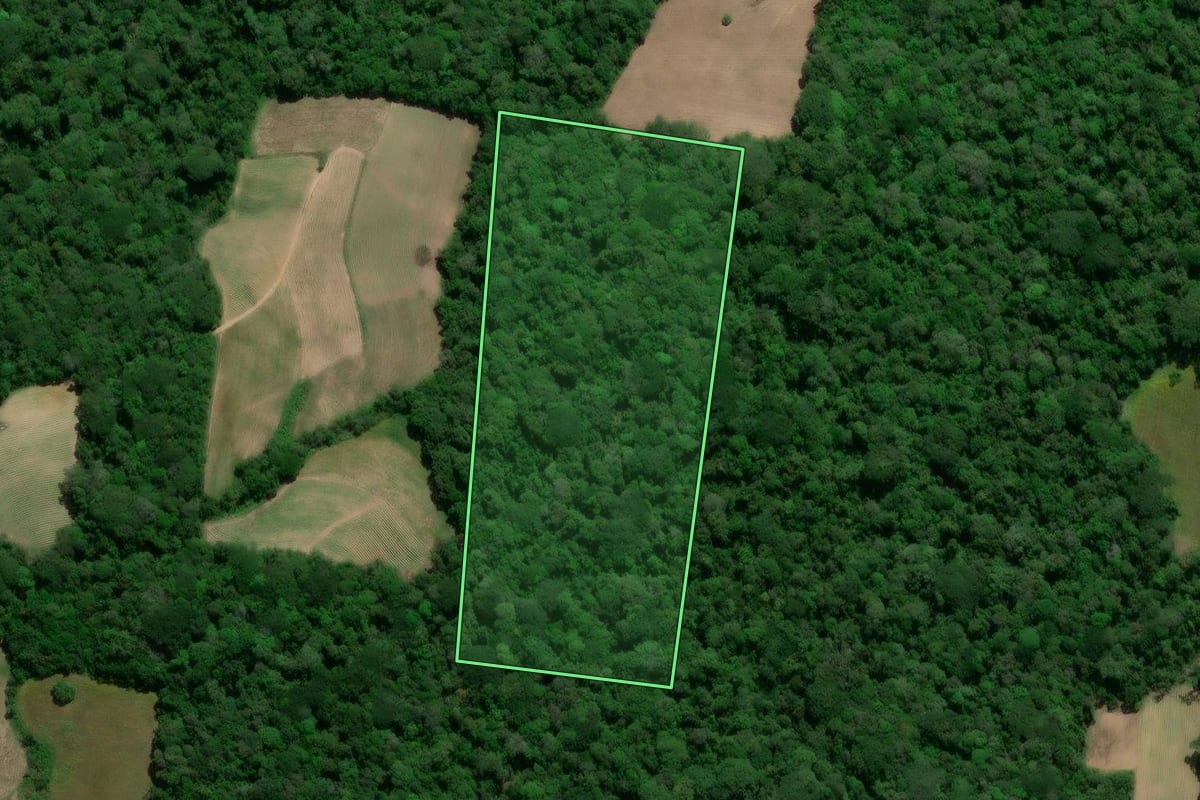 Imagem de satélite do imóvel rural em São Lourenço do Sul (RS), com o contorno declarado no CAR desenhado por cima.