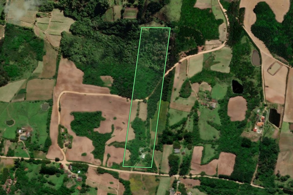 Imagem de satélite do imóvel rural em São Lourenço do Sul (RS), com o contorno declarado no CAR desenhado por cima.