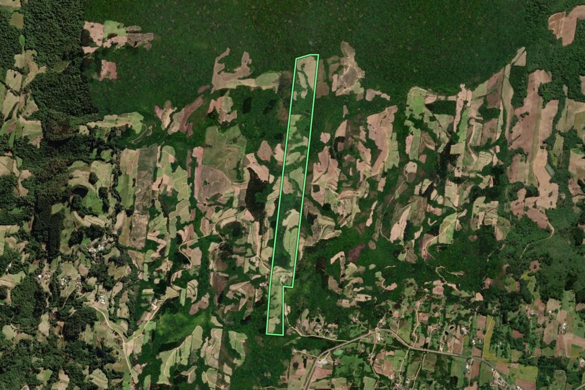 Imagem de satélite do imóvel rural em São Lourenço do Sul (RS), com o contorno declarado no CAR desenhado por cima.