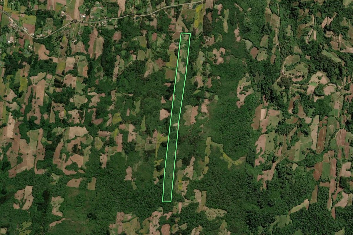 Imagem de satélite do imóvel rural em São Lourenço do Sul (RS), com o contorno declarado no CAR desenhado por cima.