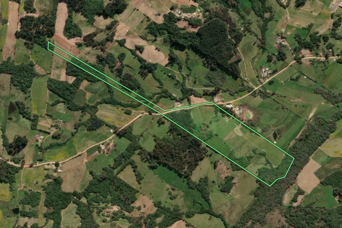 Imagem de satélite do imóvel rural em São Lourenço do Sul (RS), com o contorno declarado no CAR desenhado por cima.