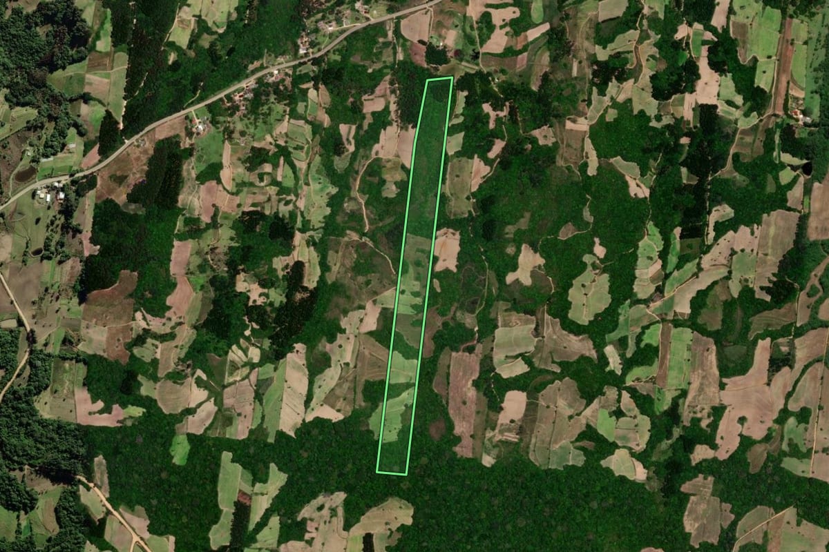 Imagem de satélite do imóvel rural em São Lourenço do Sul (RS), com o contorno declarado no CAR desenhado por cima.