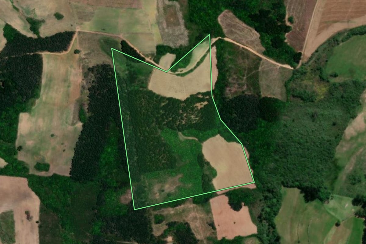 Imagem de satélite do imóvel rural em São Lourenço do Sul (RS), com o contorno declarado no CAR desenhado por cima.