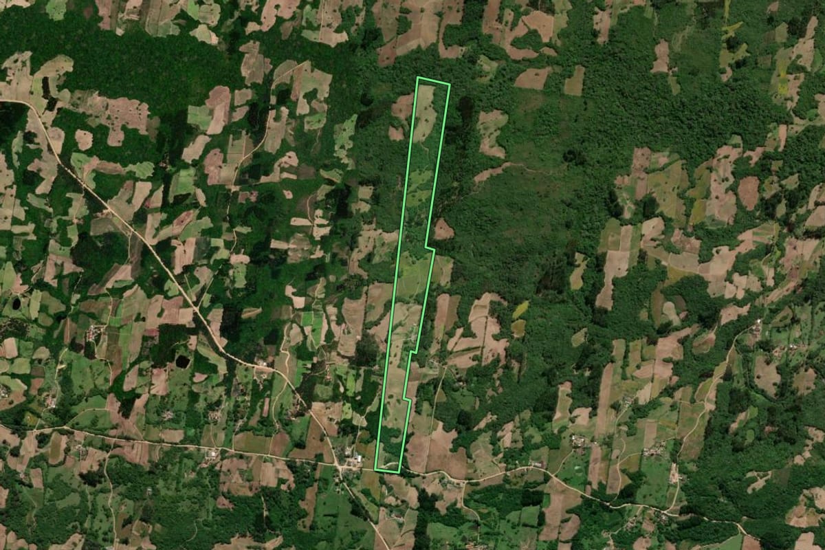 Imagem de satélite do imóvel rural em São Lourenço do Sul (RS), com o contorno declarado no CAR desenhado por cima.