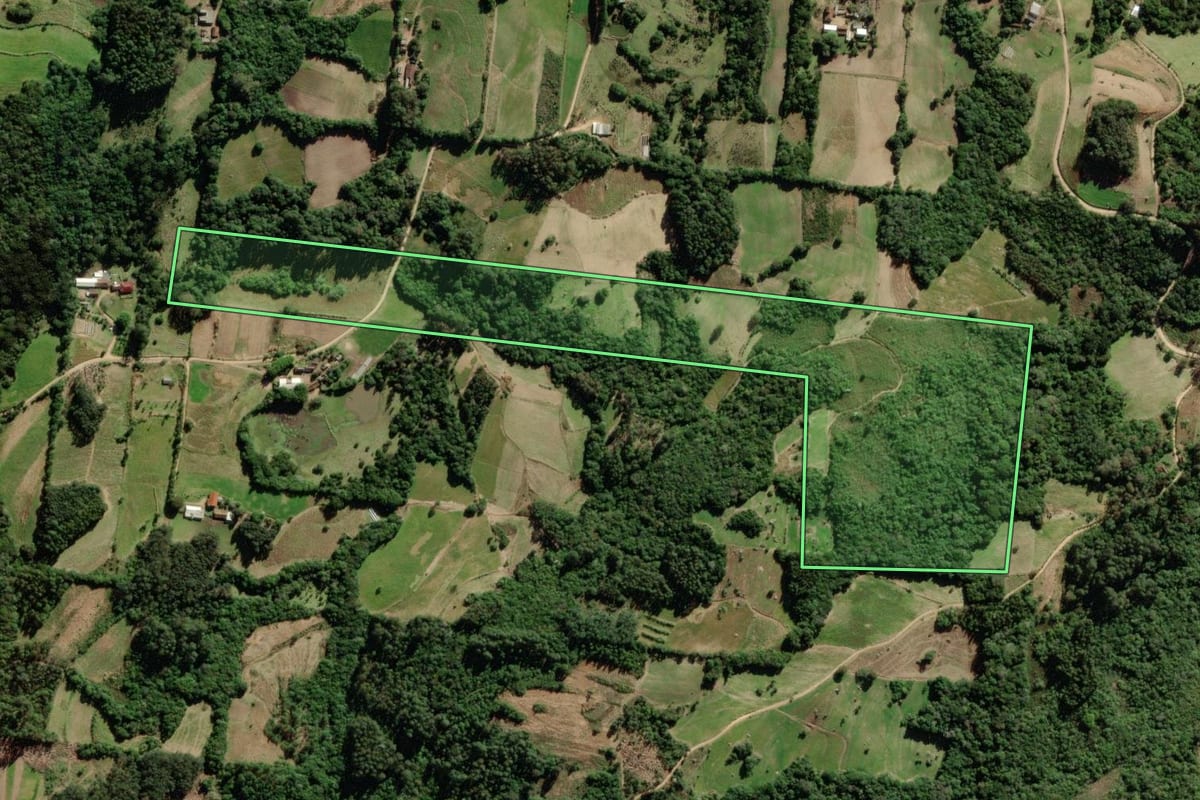 Imagem de satélite do imóvel rural em São Lourenço do Sul (RS), com o contorno declarado no CAR desenhado por cima.