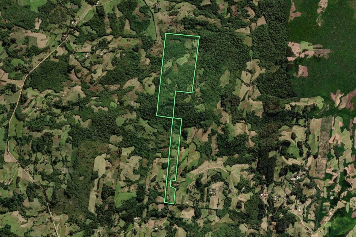 Imagem de satélite do imóvel rural em São Lourenço do Sul (RS), com o contorno declarado no CAR desenhado por cima.