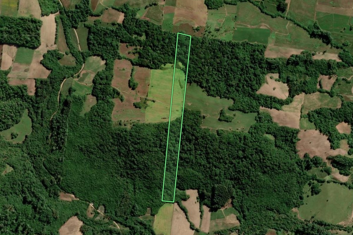 Imagem de satélite do imóvel rural em São Lourenço do Sul (RS), com o contorno declarado no CAR desenhado por cima.