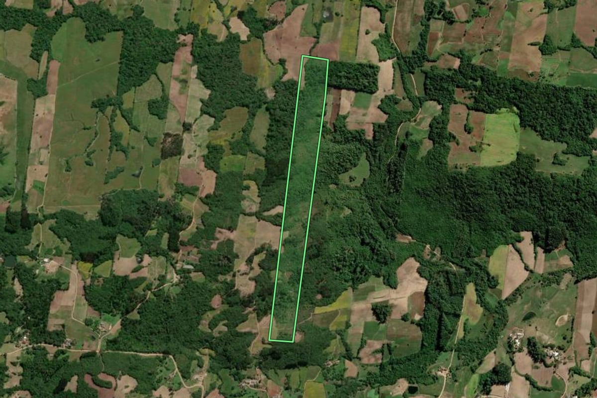 Imagem de satélite do imóvel rural em São Lourenço do Sul (RS), com o contorno declarado no CAR desenhado por cima.