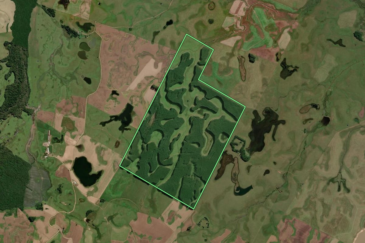 Imagem de satélite do imóvel rural em São Lourenço do Sul (RS), com o contorno declarado no CAR desenhado por cima.