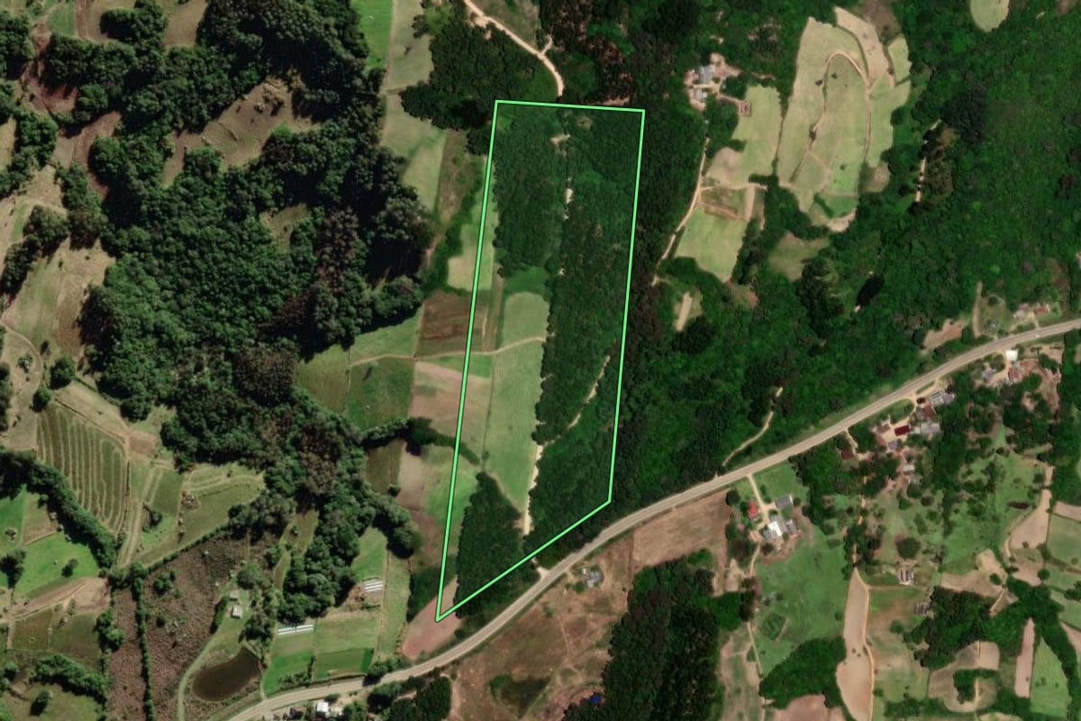 Imagem de satélite do imóvel rural em São Lourenço do Sul (RS), com o contorno declarado no CAR desenhado por cima.