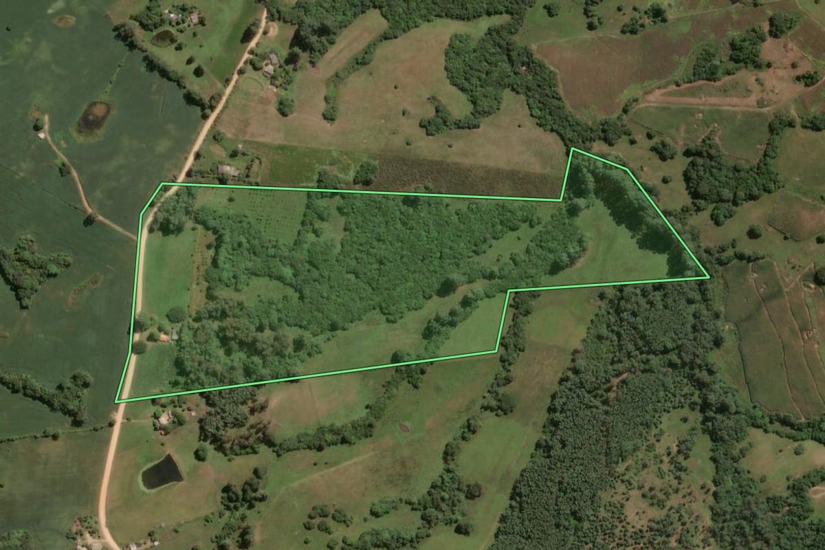 Imagem de satélite do imóvel rural em São Lourenço do Sul (RS), com o contorno declarado no CAR desenhado por cima.