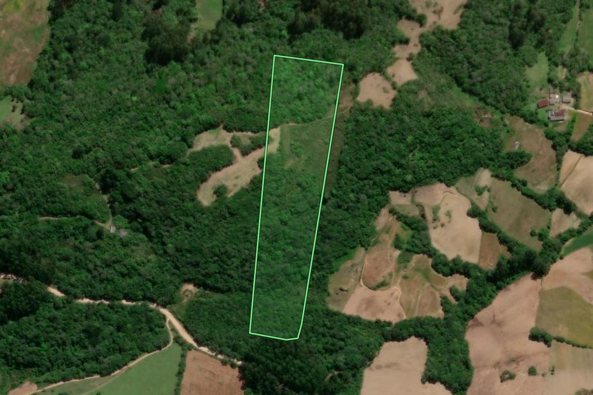 Imagem de satélite do imóvel rural em São Lourenço do Sul (RS), com o contorno declarado no CAR desenhado por cima.