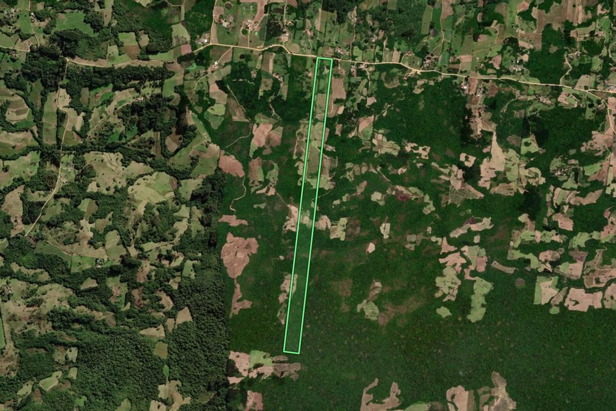 Imagem de satélite do imóvel rural em São Lourenço do Sul (RS), com o contorno declarado no CAR desenhado por cima.