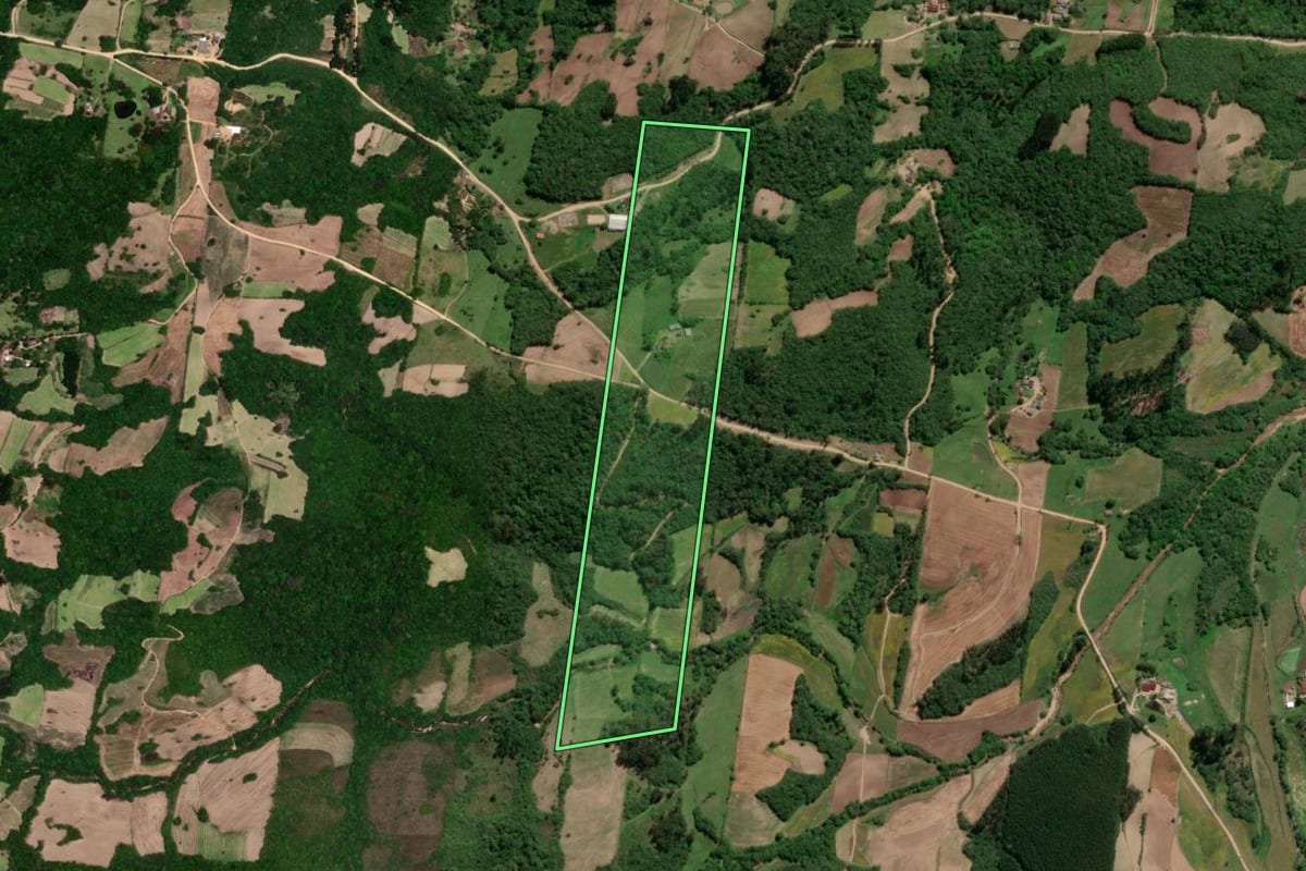 Imagem de satélite do imóvel rural em São Lourenço do Sul (RS), com o contorno declarado no CAR desenhado por cima.