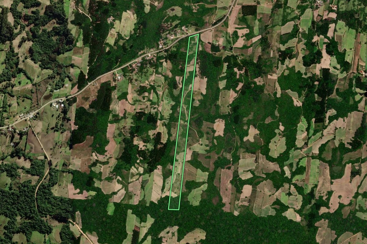 Imagem de satélite do imóvel rural em São Lourenço do Sul (RS), com o contorno declarado no CAR desenhado por cima.