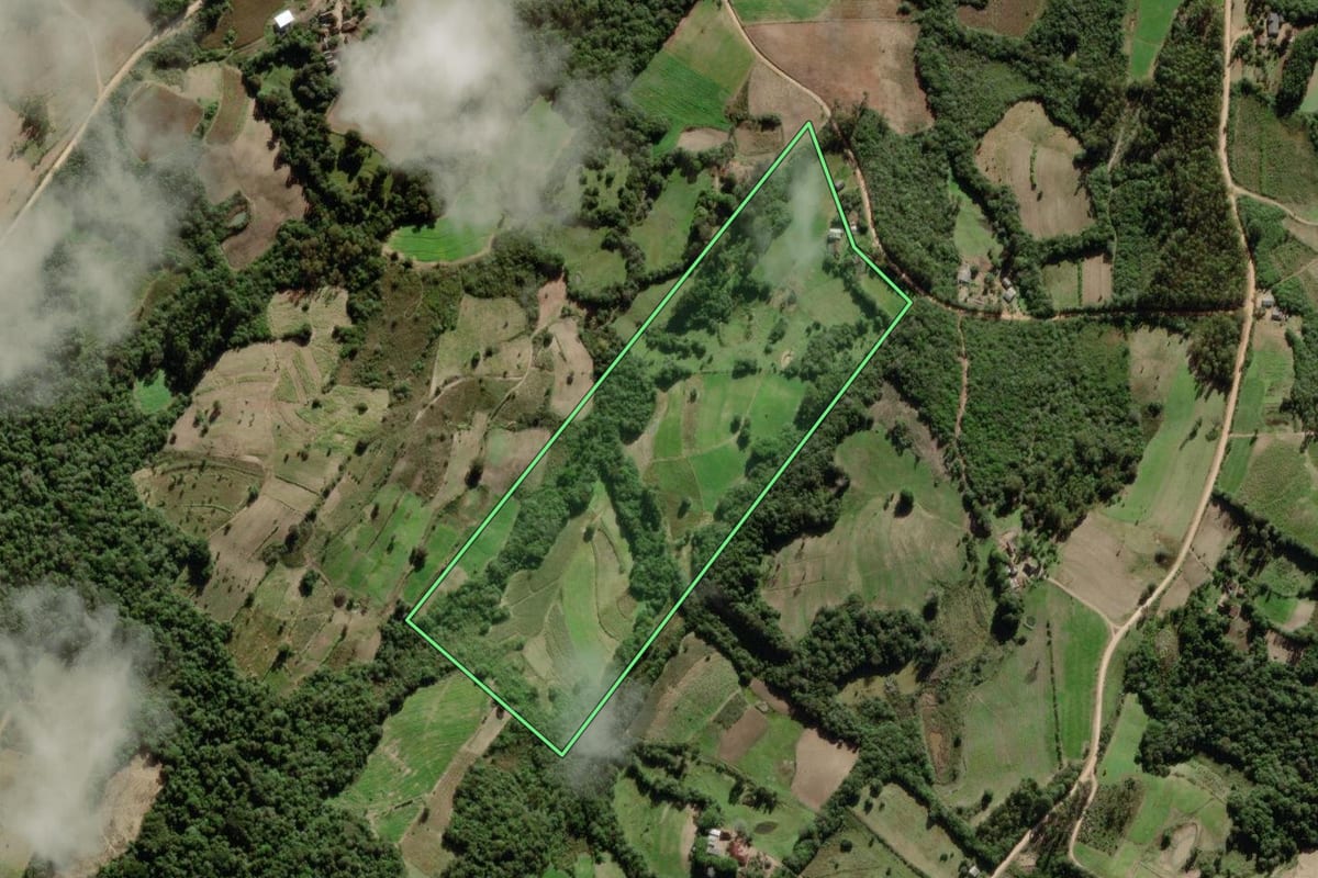 Imagem de satélite do imóvel rural em São Lourenço do Sul (RS), com o contorno declarado no CAR desenhado por cima.