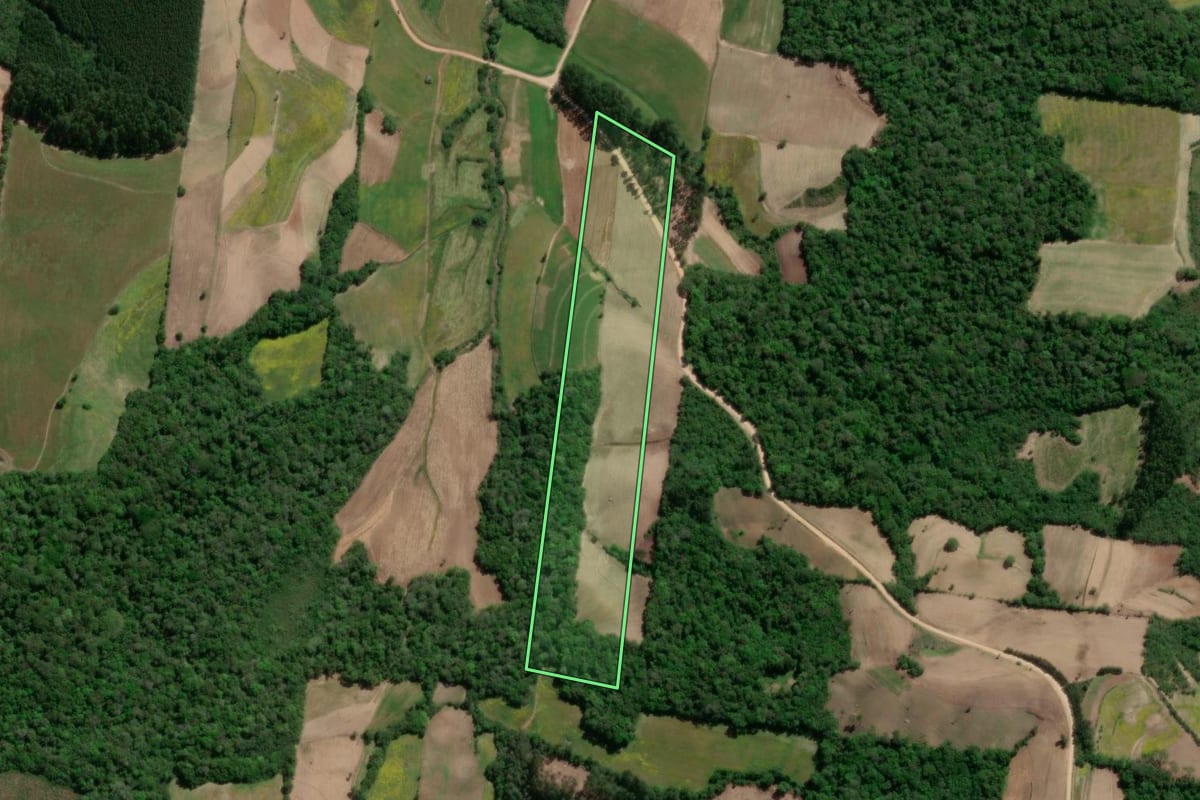 Imagem de satélite do imóvel rural em São Lourenço do Sul (RS), com o contorno declarado no CAR desenhado por cima.