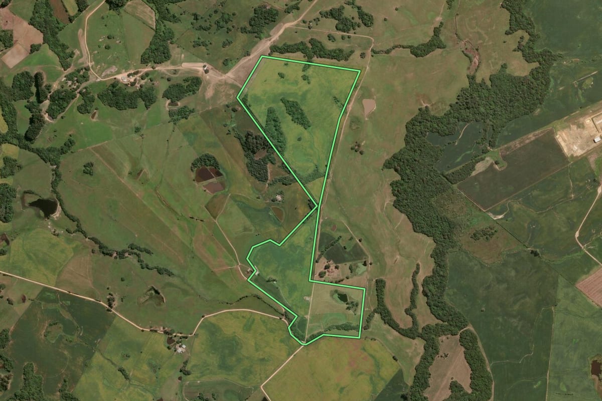 Imagem de satélite do imóvel rural em São Lourenço do Sul (RS), com o contorno declarado no CAR desenhado por cima.